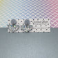 Scallop Acrylic Earrings
